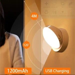 Night Light Motion Sensor